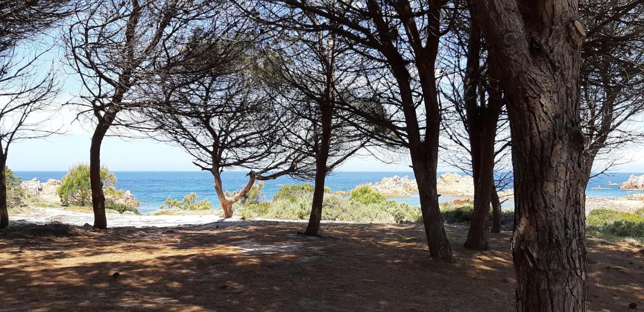 Mare Natura Confort... Il Mio Paradiso In Sardegna Isola Rossa Kültér fotó